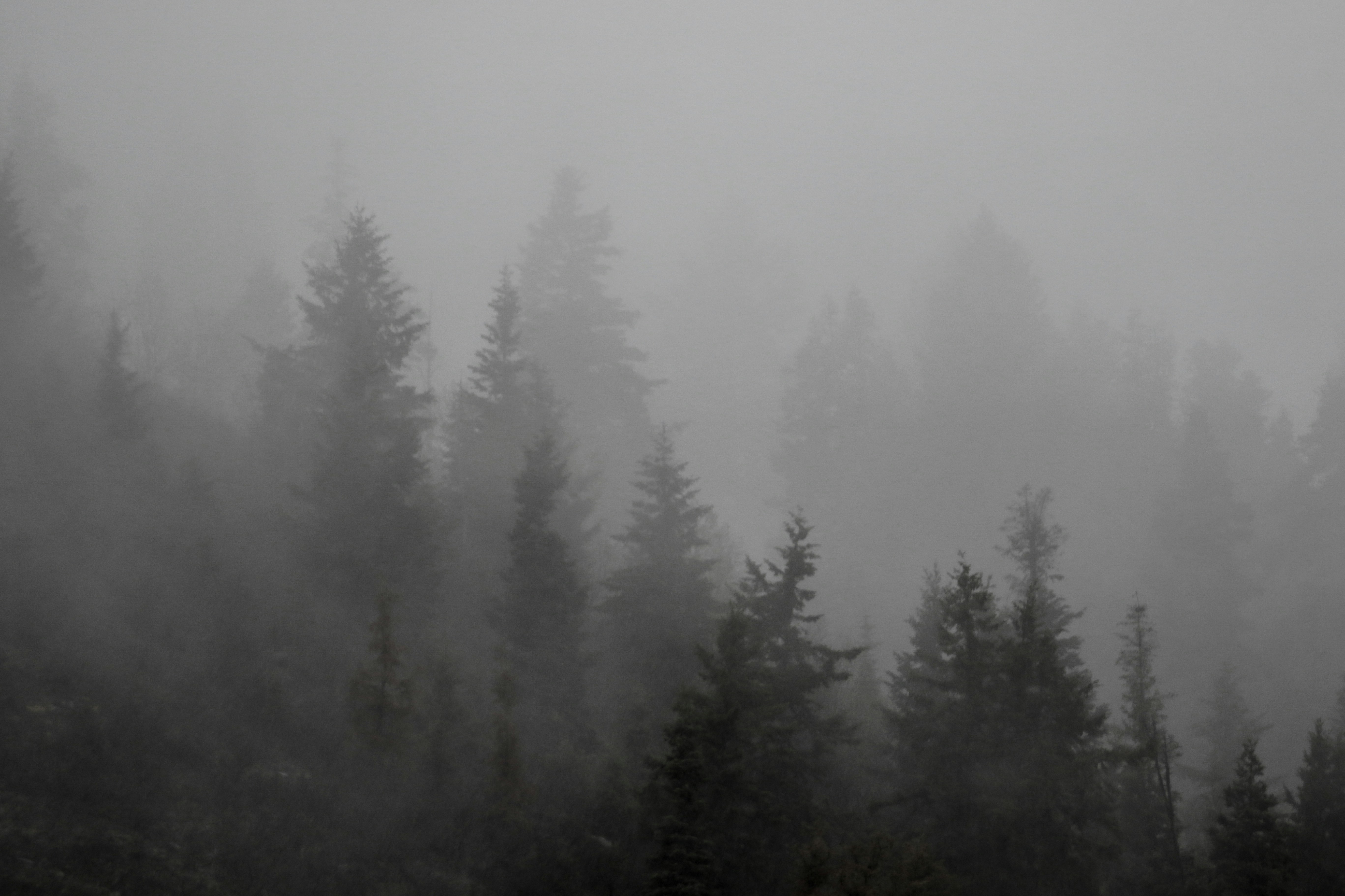 Photo by worldsbetweenlines