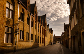 An old street scene with cobblestone paths and classic architecture under soft daylight.