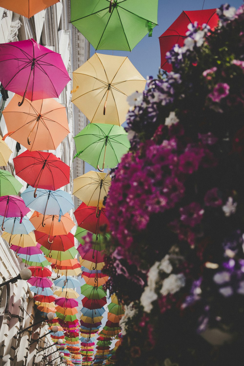道路の装飾的な日よけとして使用されるさまざまな色の傘のローアングル写真