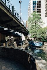 A picturesque scene under a bridge with a river running through. A blue tour boat is moving along the waterway, surrounded by lush green trees and urban buildings.