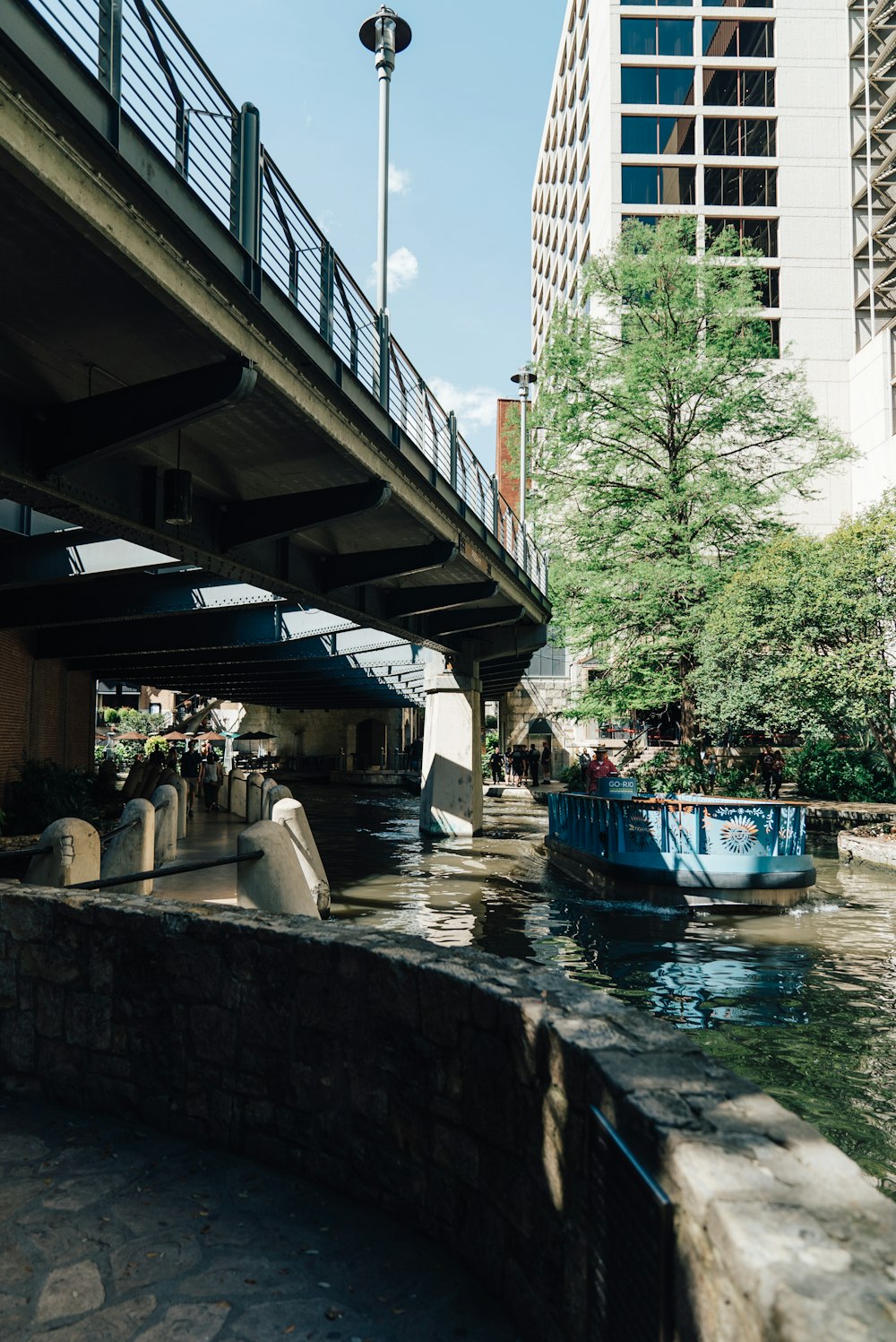 árvore ao lado da ponte longa