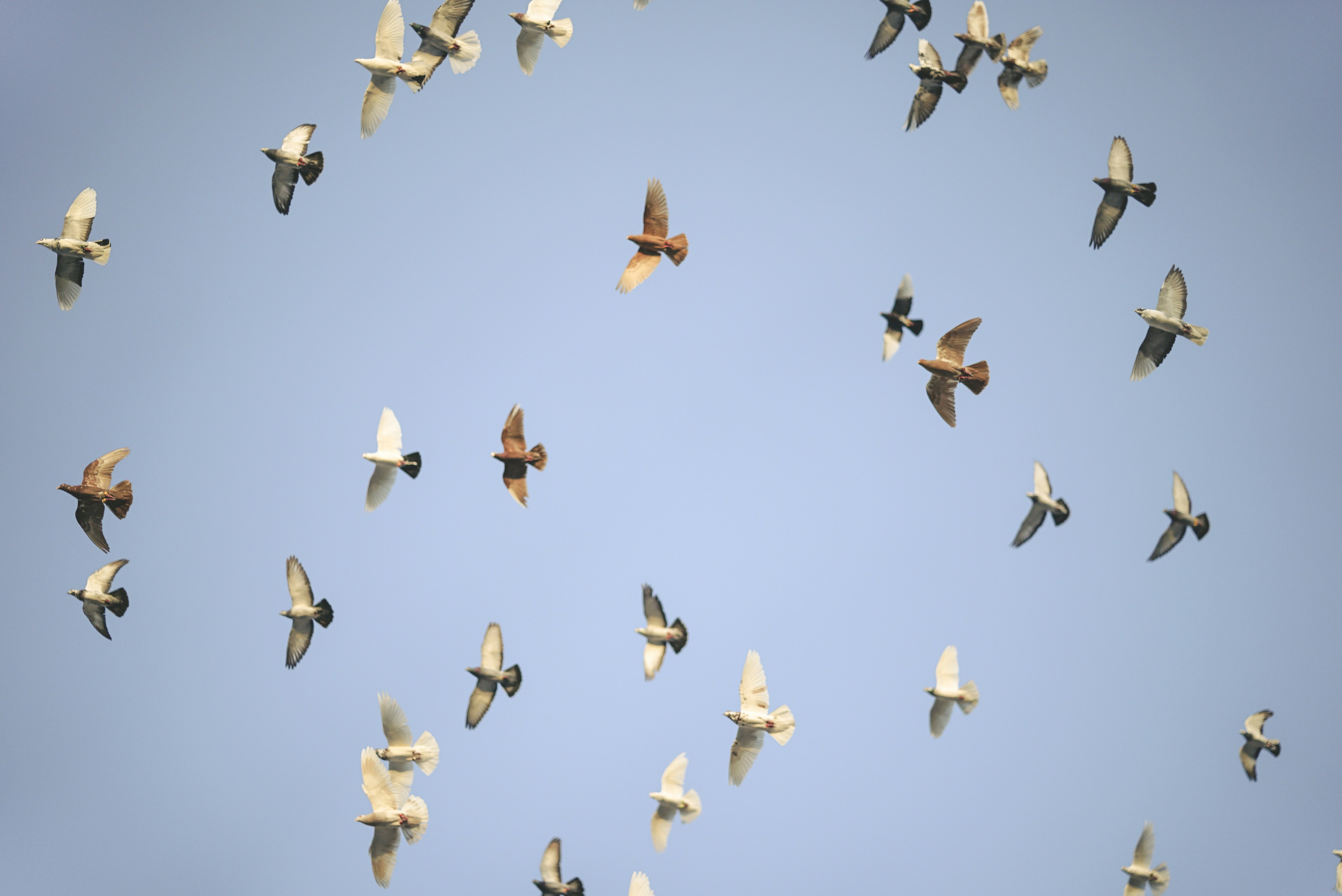 photo-1556086910-393955391e23?ixlib=rb-1.2.1&auto=format&fit=crop&w=1049&q=80