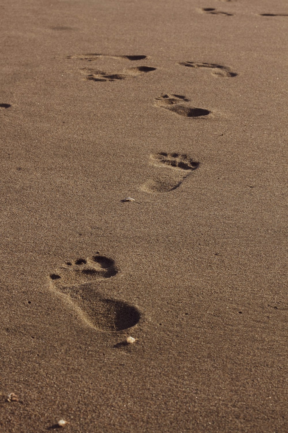 footprints on brown soil