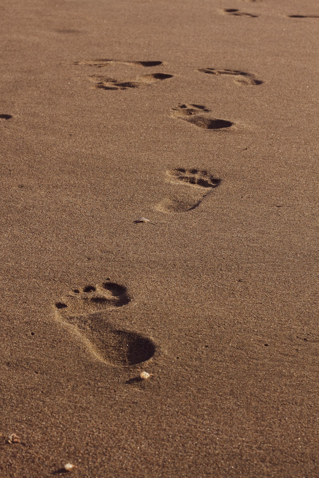 footprints on brown soil