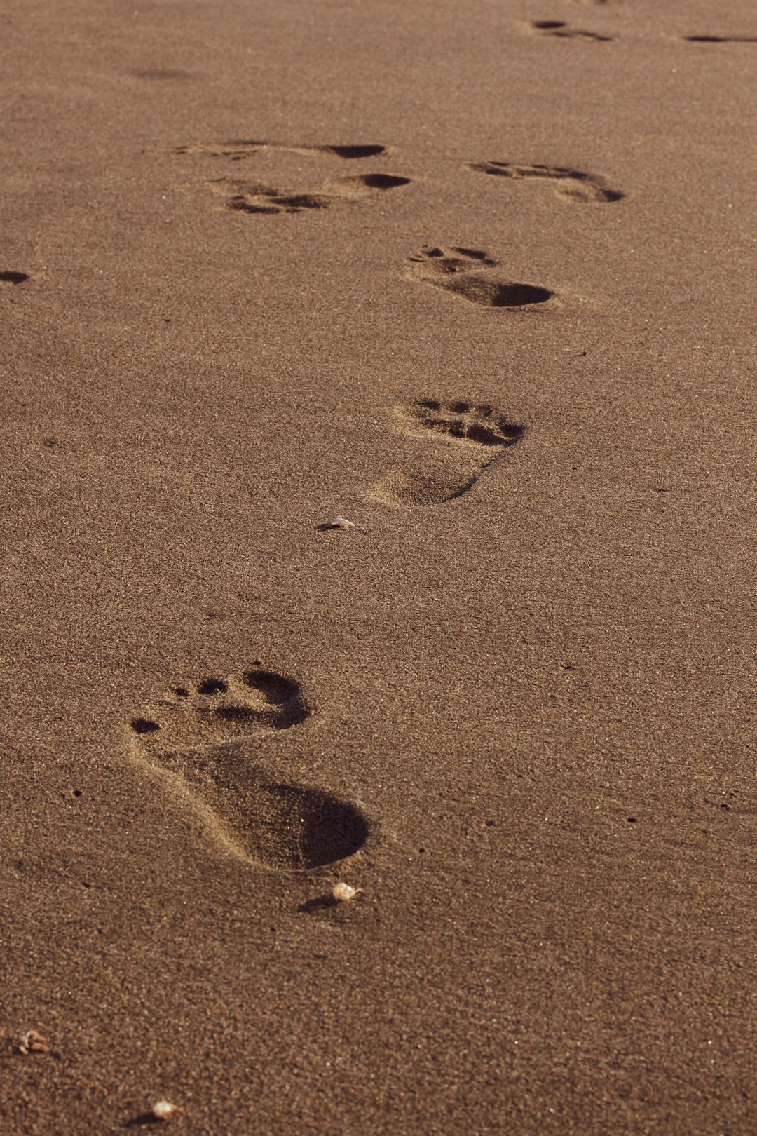 Footprints Footprints