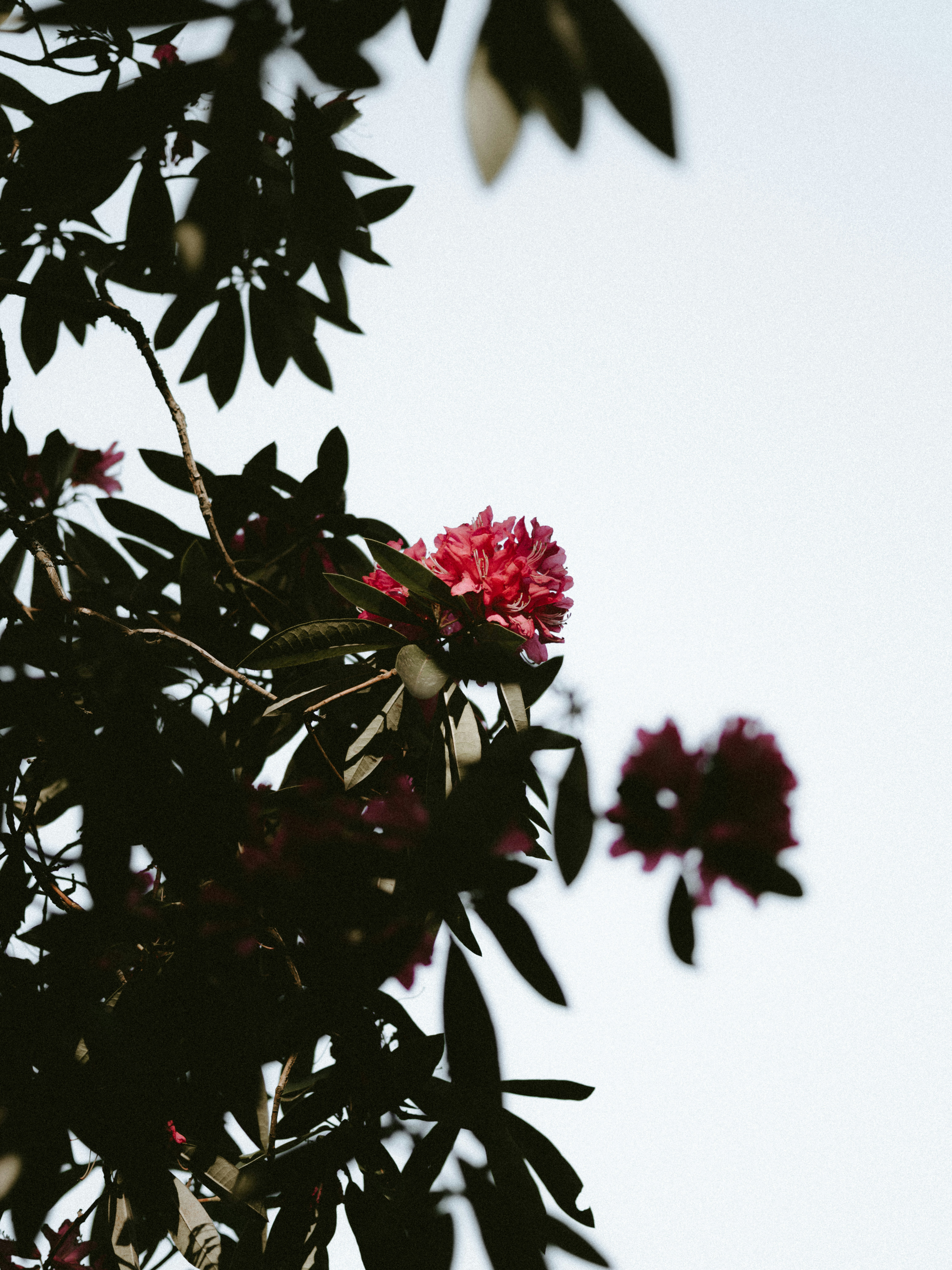 Photo by anniespratt