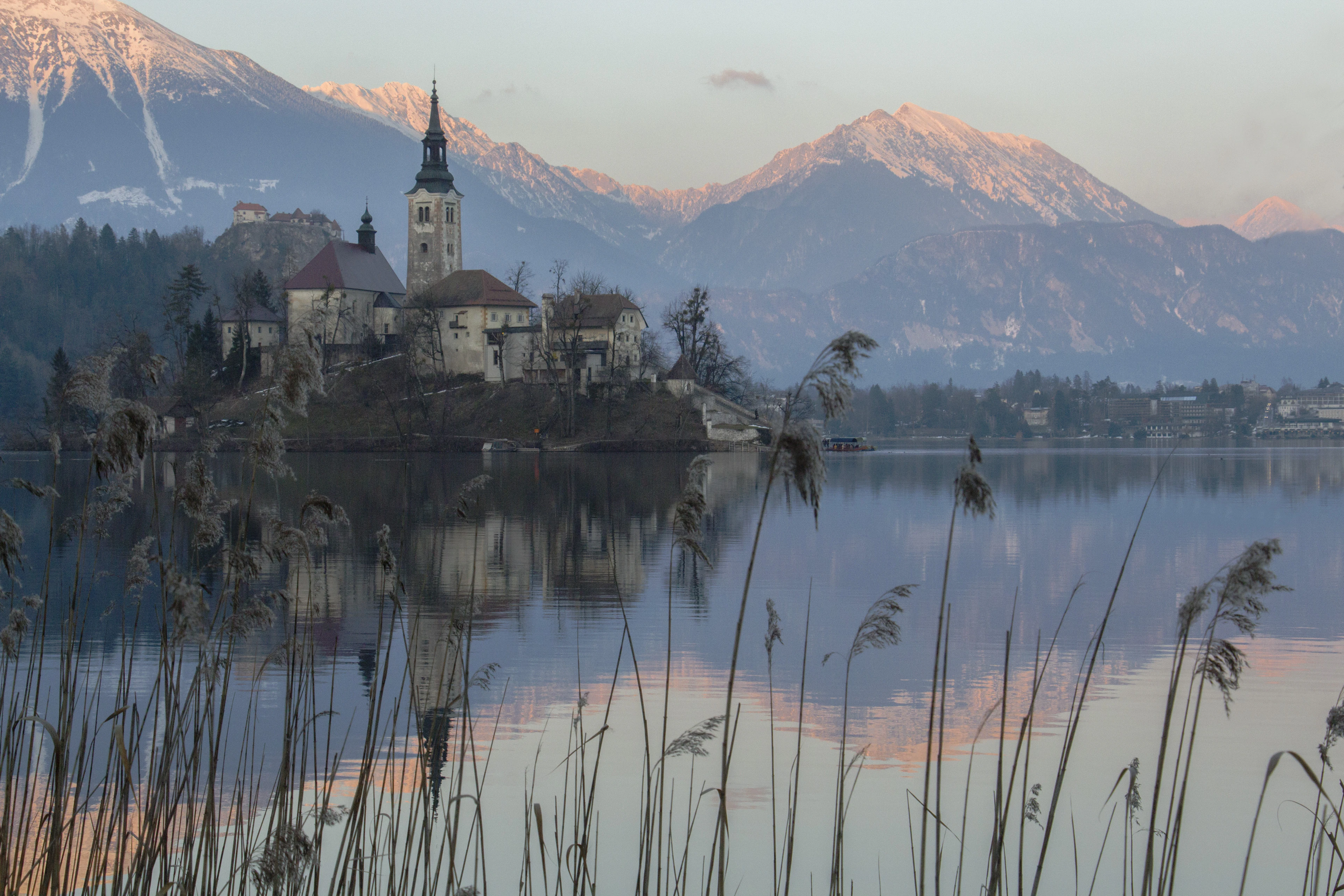 The island church on Lake Bled at first light, the Julian Alps behind