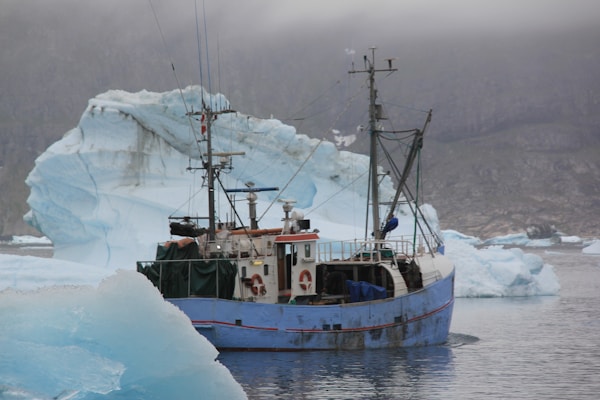 A fishing boat with a blue hull sails through icy waters, surrounded by large icebergs that appear to tower over the vessel. The sky is overcast, adding to the chilly atmosphere of the scene. The boat is equipped with antennas and fishing gear.