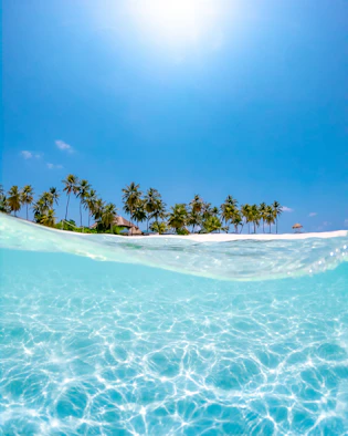crystal clear water near coconut trees under the sun