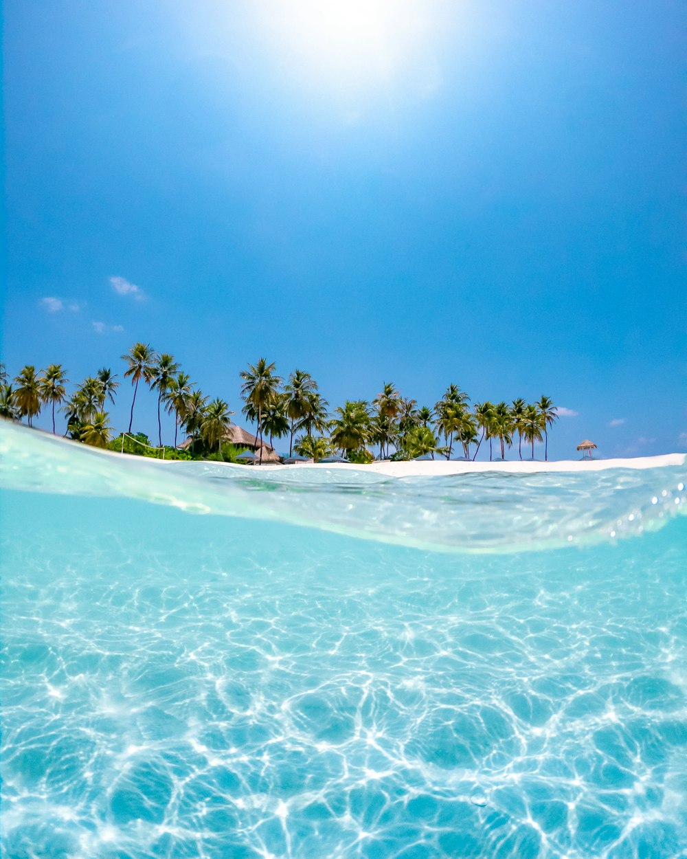 태양 아래 코코넛 나무 근처의 맑은 물