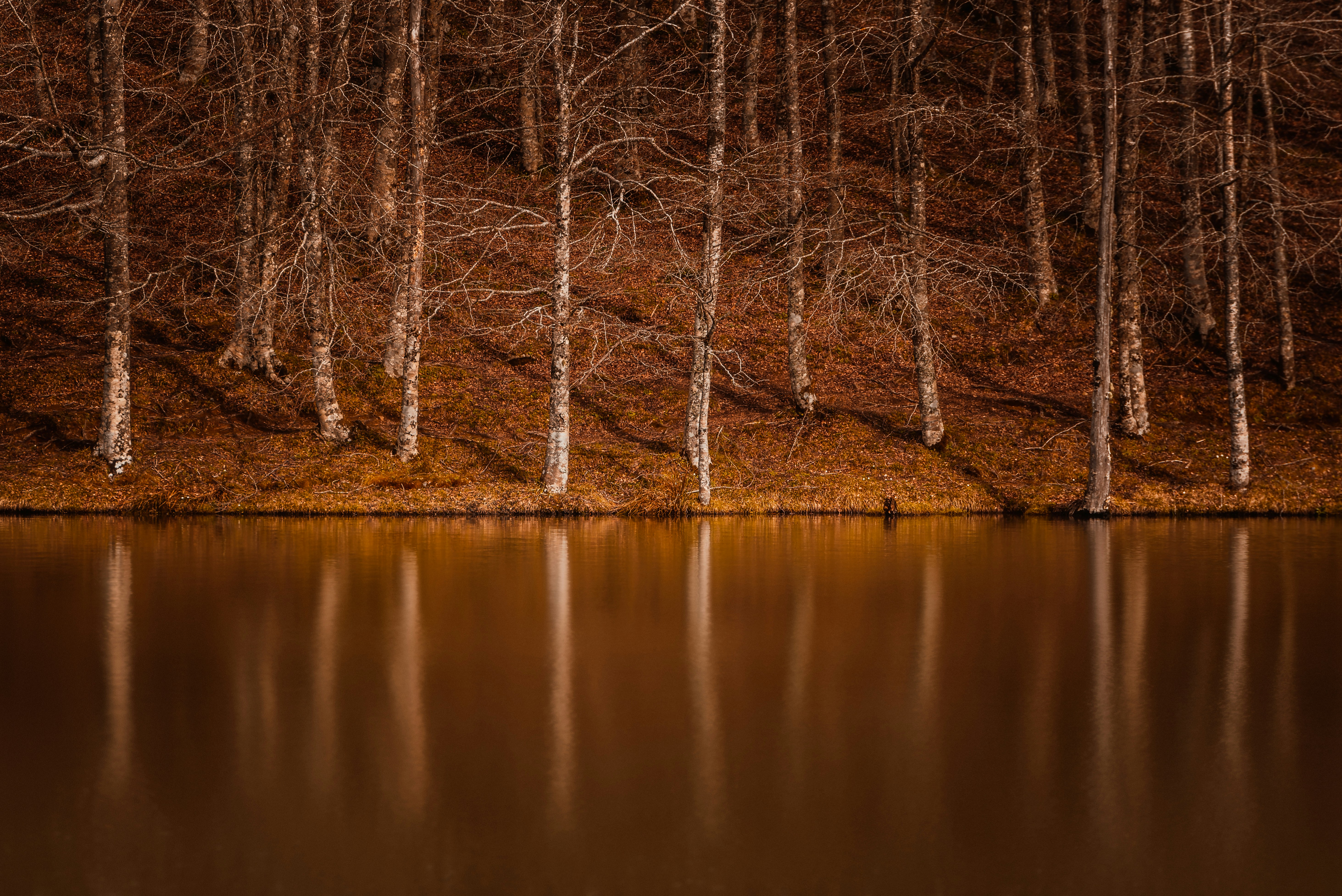 Photo by piermanuele_sberni