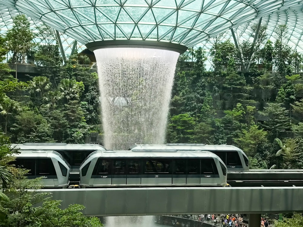 trains passing by waterfall