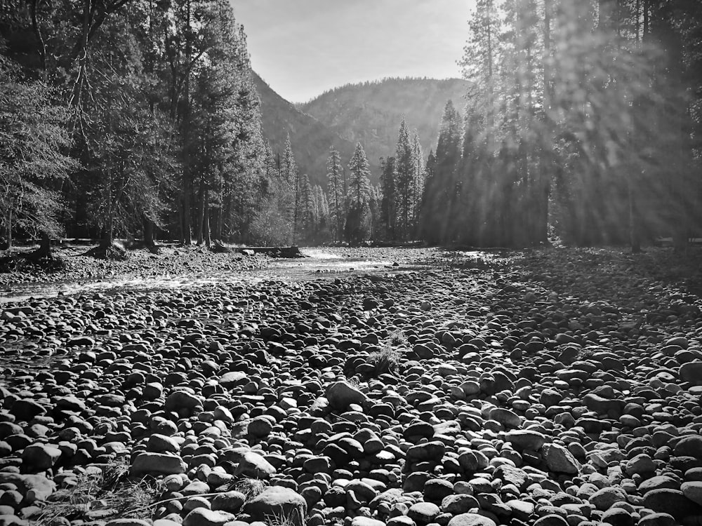 a black and white photo of a rocky river