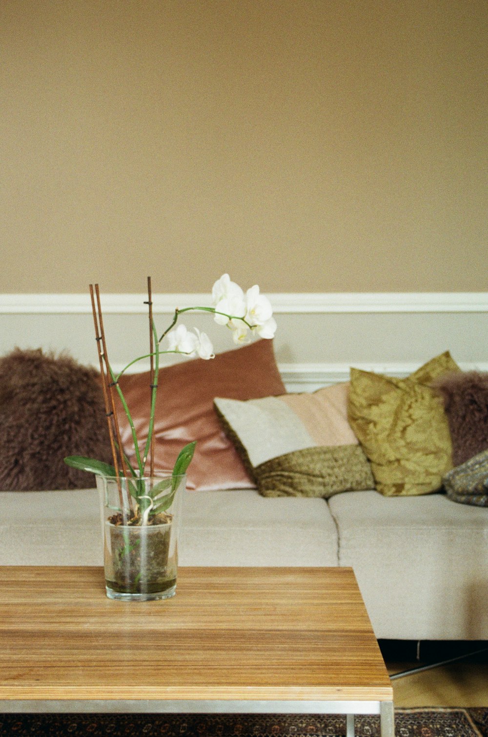 white orchid in clear glass pot on wooden coffee table