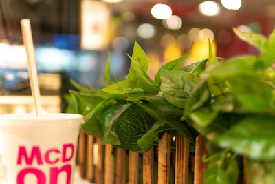 Close-up of biodegradable sugarcane containers nestled among fresh leaves.