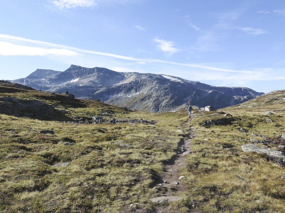 green and gray mountain scenery