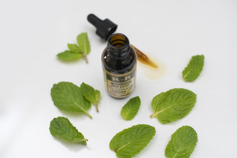 bottle surrounded green leaves