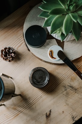 A wooden surface holds a decorative pine cone, a small jar, and a painting brush next to a pot of paint. There is also a succulent plant in a pot resting on a circular wooden tray.