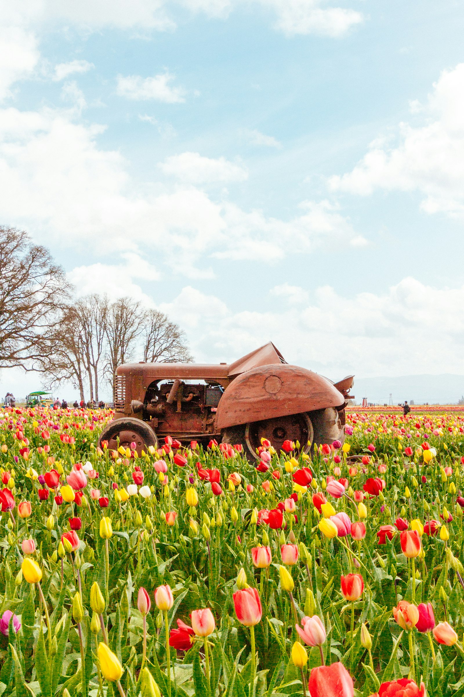 Canon EOS 700D (EOS Rebel T5i / EOS Kiss X7i) + Tamron 16-300mm F3.5-6.3 Di II VC PZD Macro sample photo. Tractor on tulips field photography