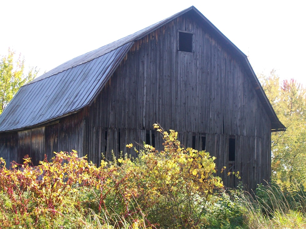 brown wooden house