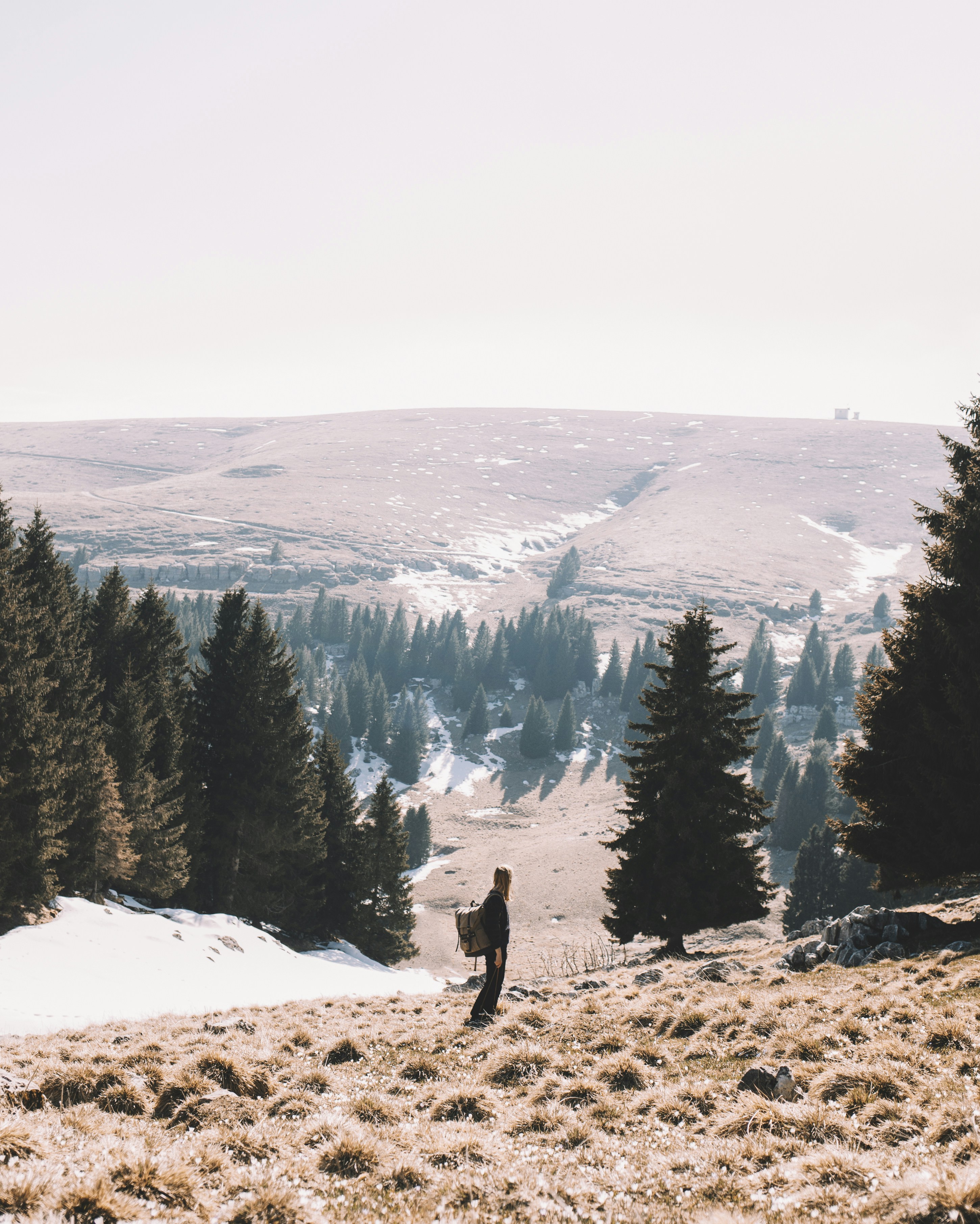 person standing on field