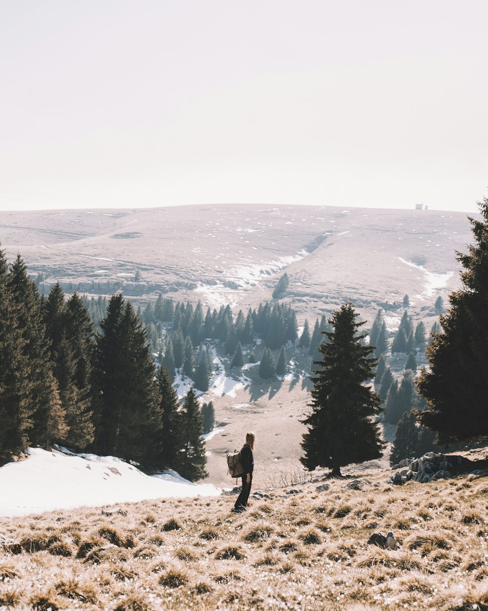 Person, die auf dem Feld steht