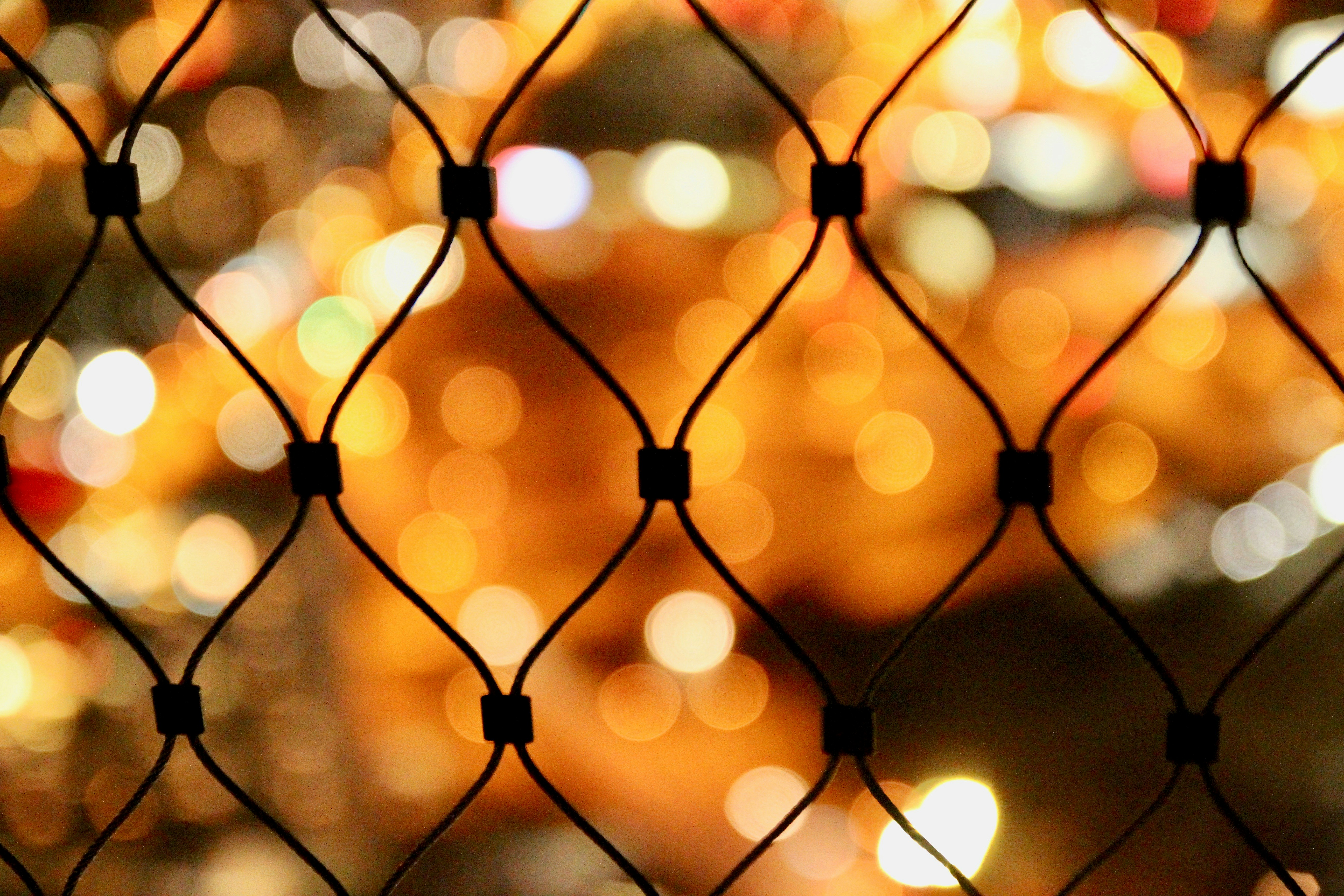 Photo by bee_balogun