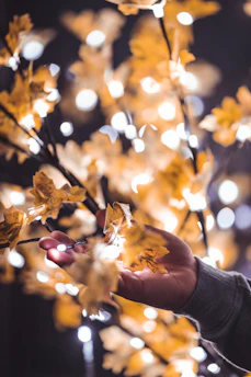 Hands gently holding glowing green leaves with a mystical golden aura.
