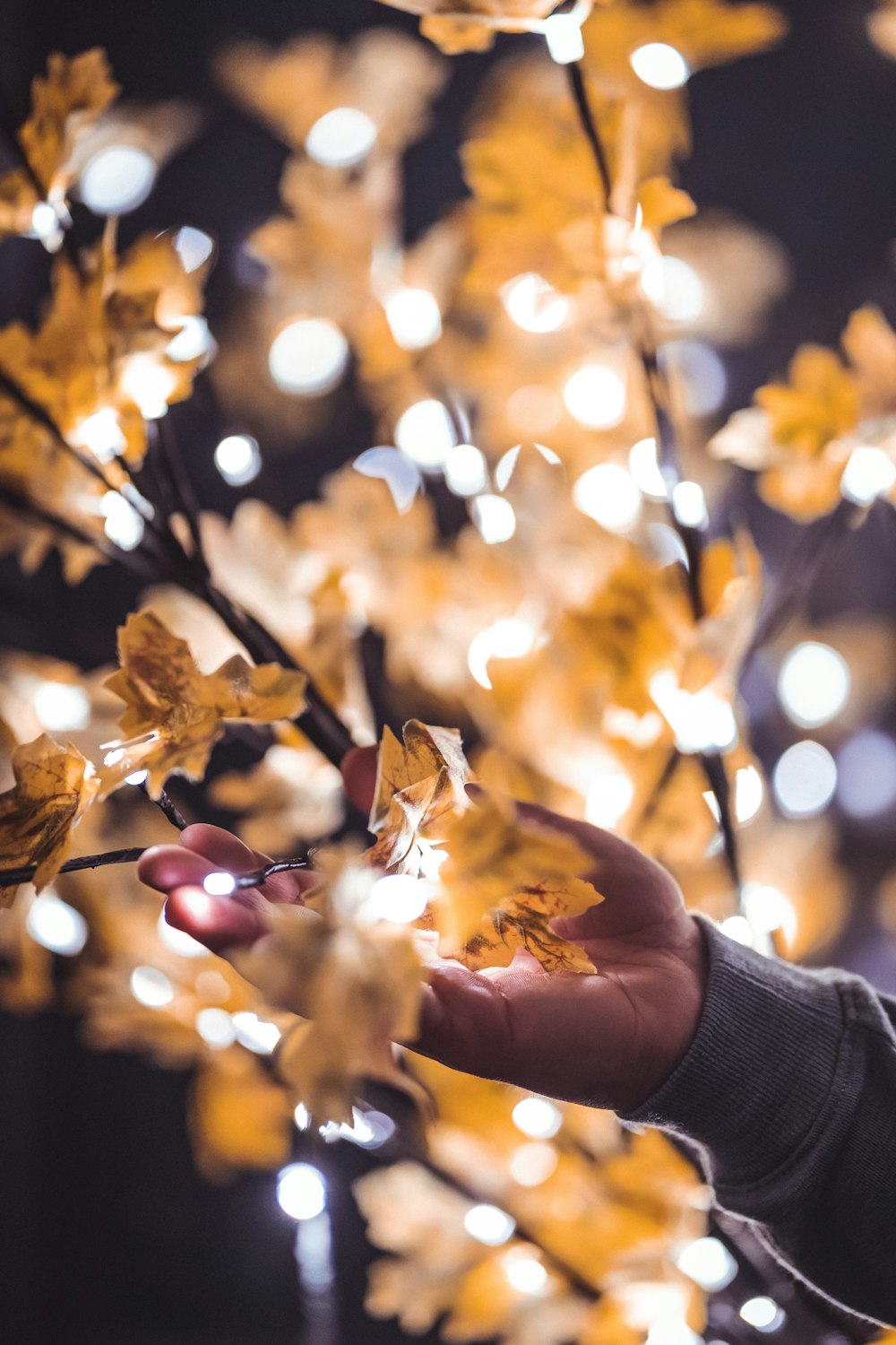 a person holding a branch with yellow leaves