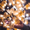 a person holding a branch with yellow leaves