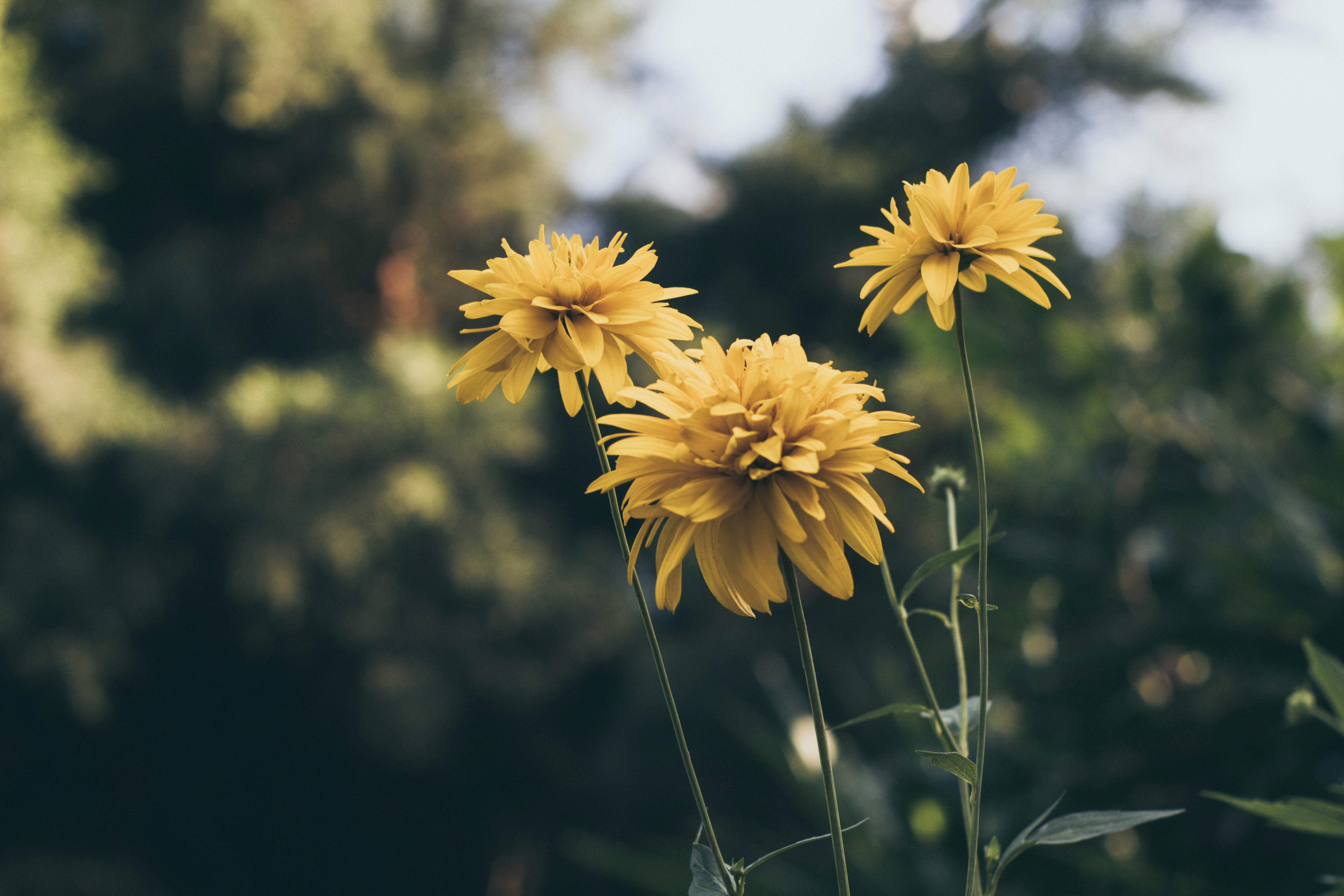 Photo by richardrivas