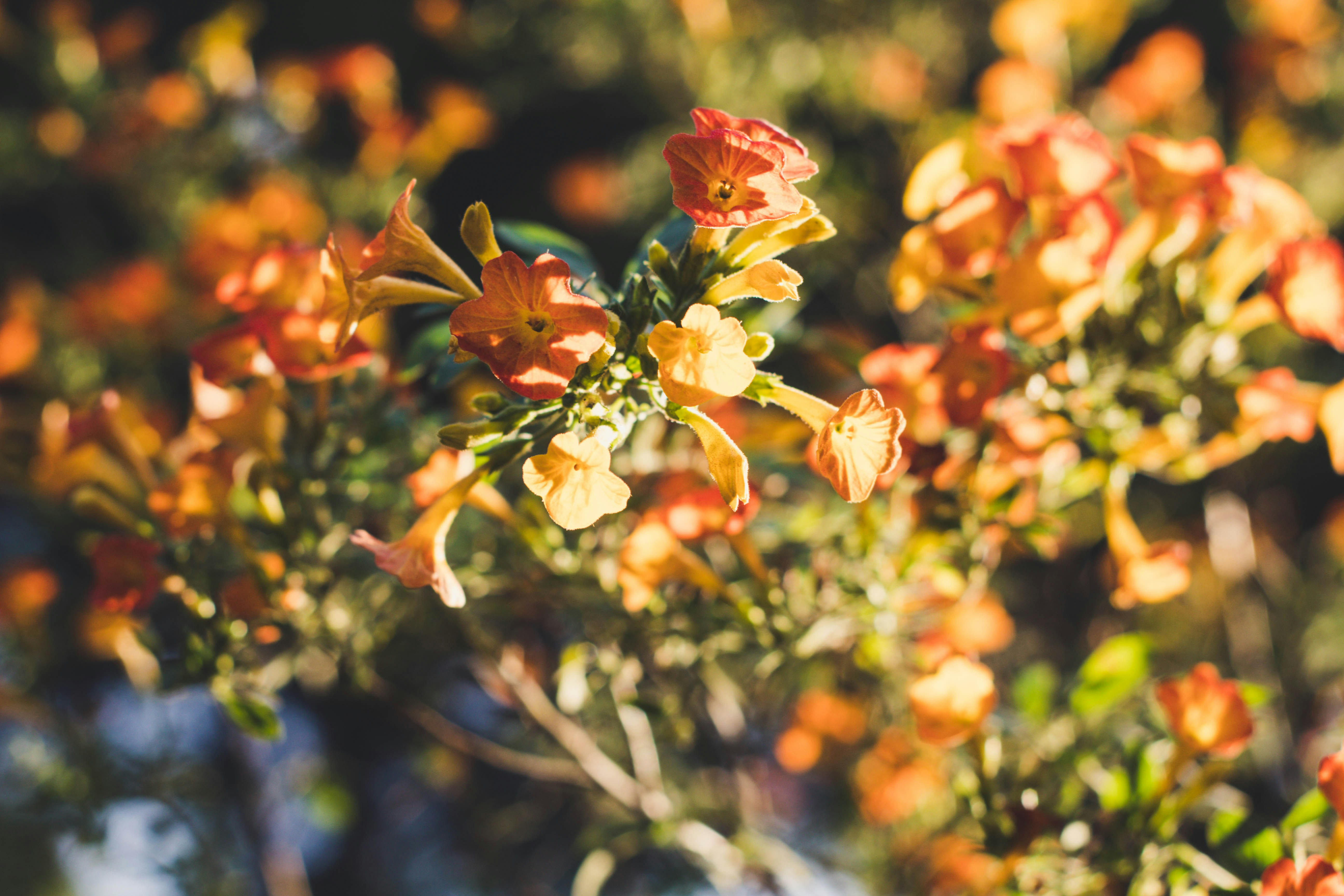 Photo by richardrivas