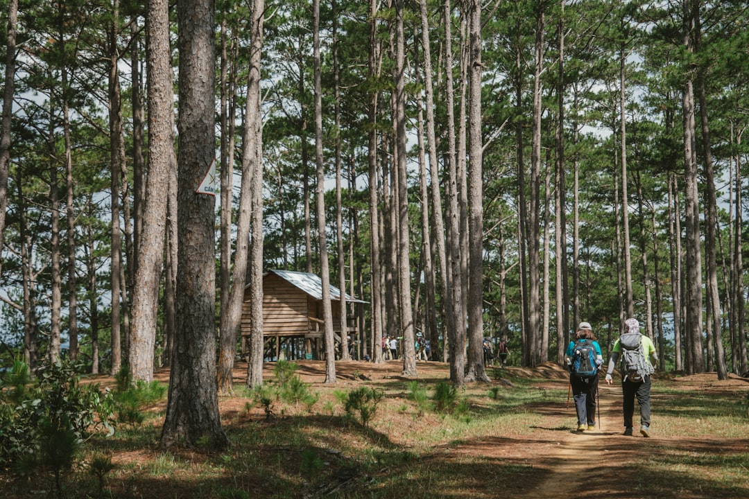 two people walking on street near house in the middle of forest