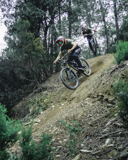 Mountain bikers navigating a steep trail surrounded by lush green forest.