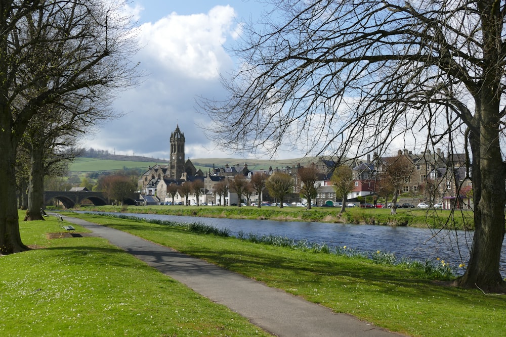 green grass field near river