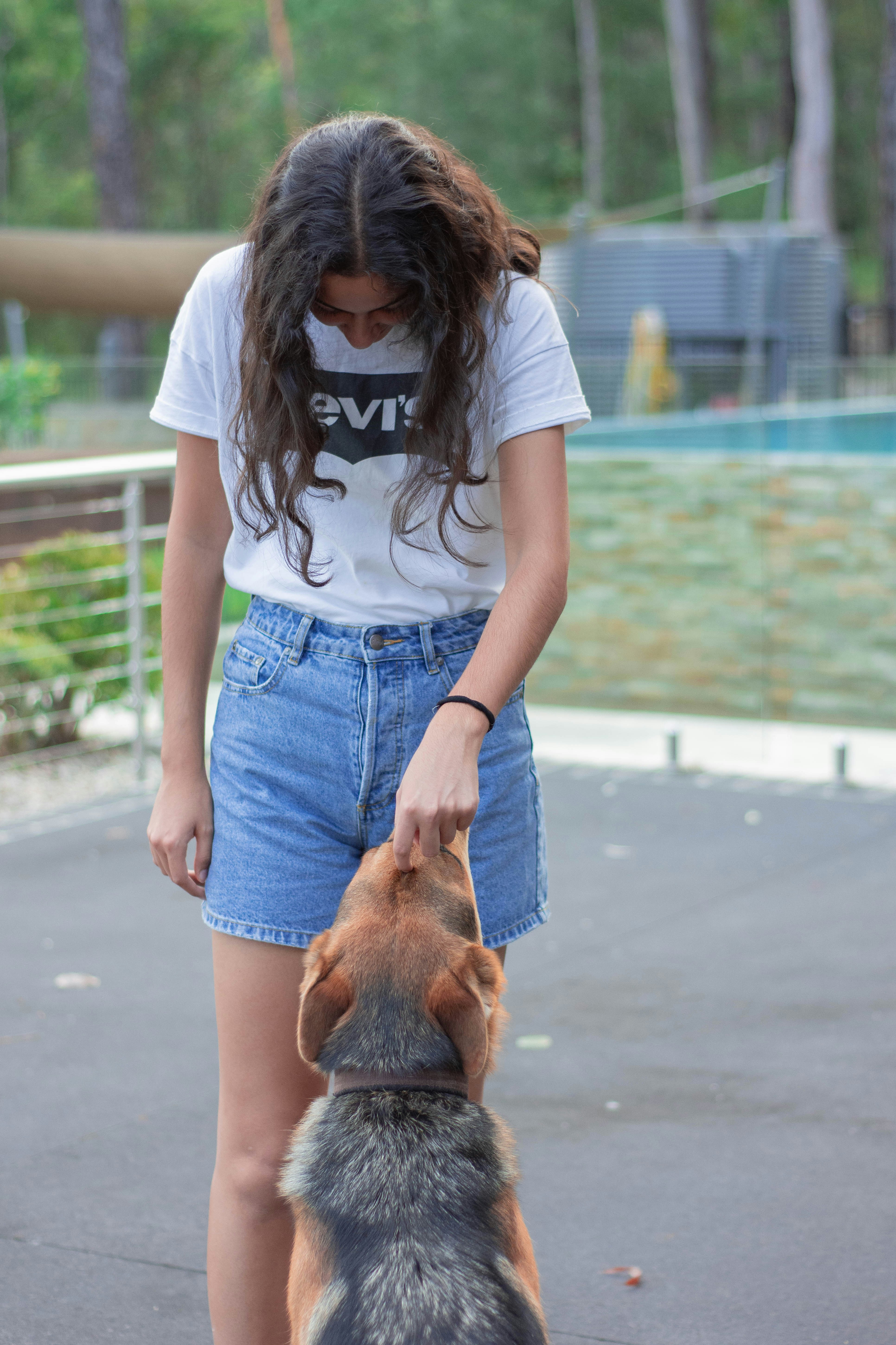 levis dog t shirt