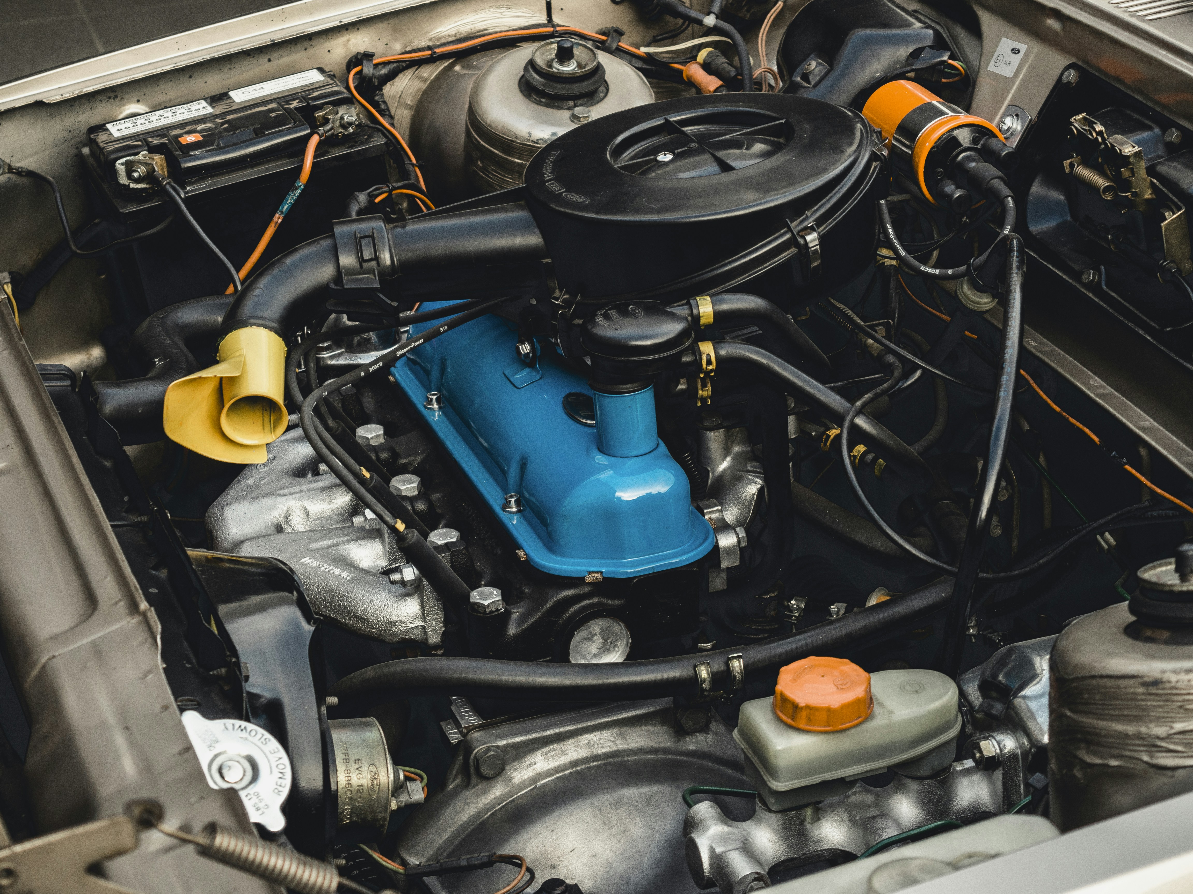 Photo by milandegraeve