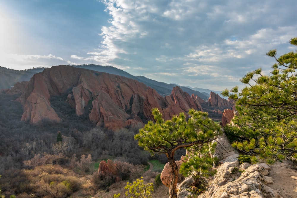 brown mountain and green trees