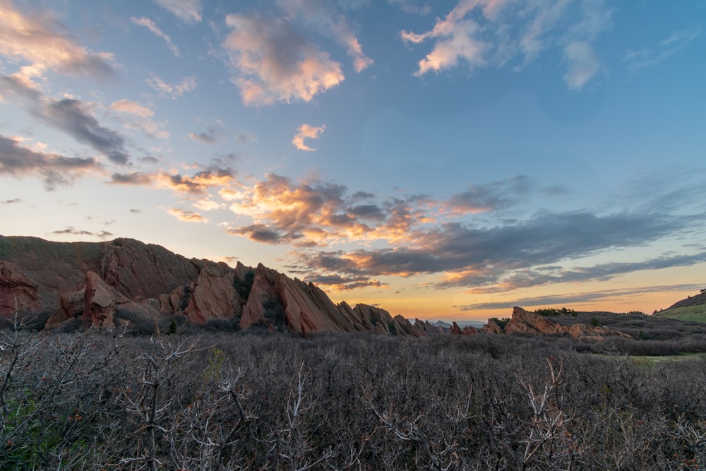 rock mountain surrounded by grass