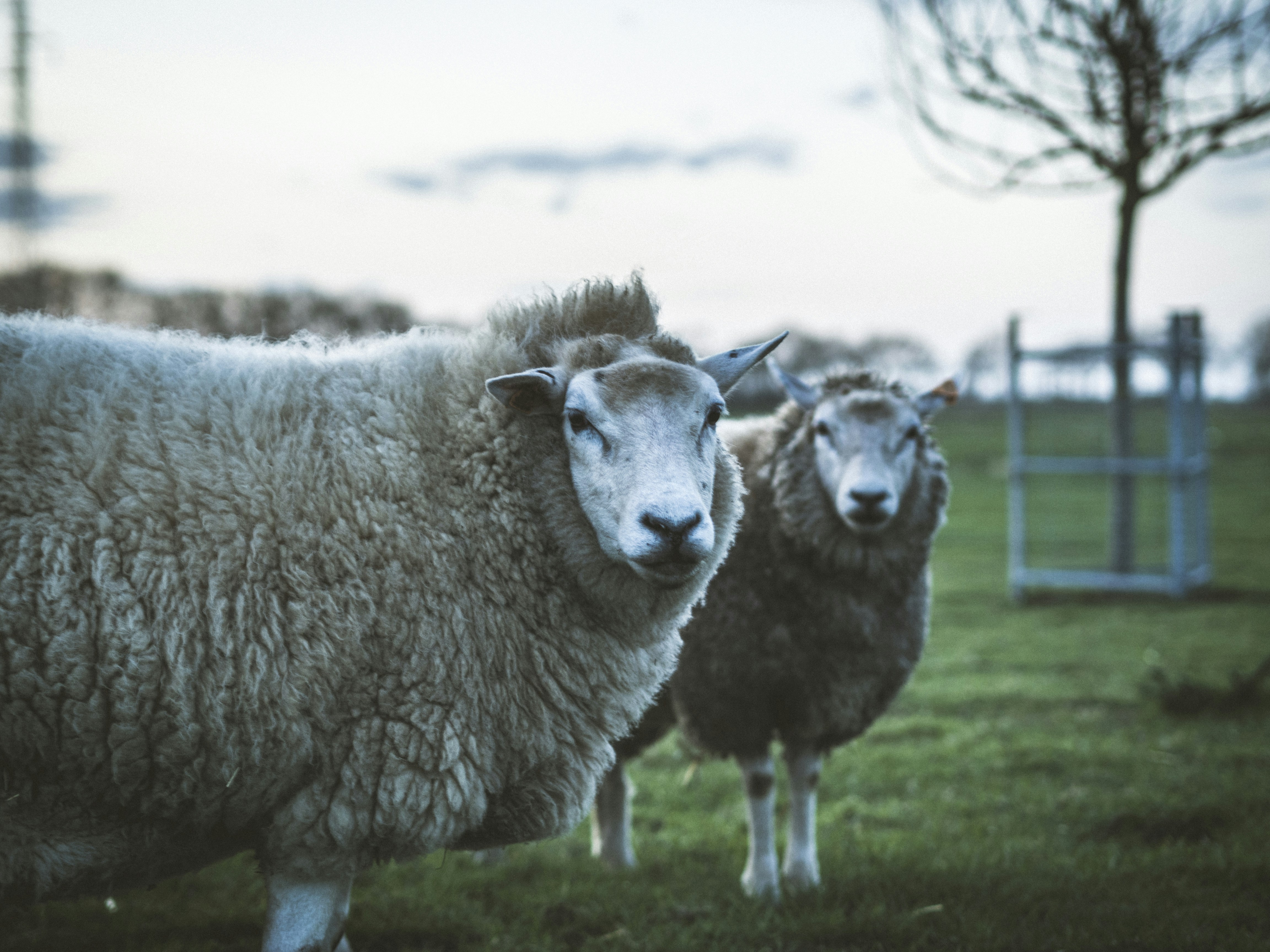 Photo by milandegraeve