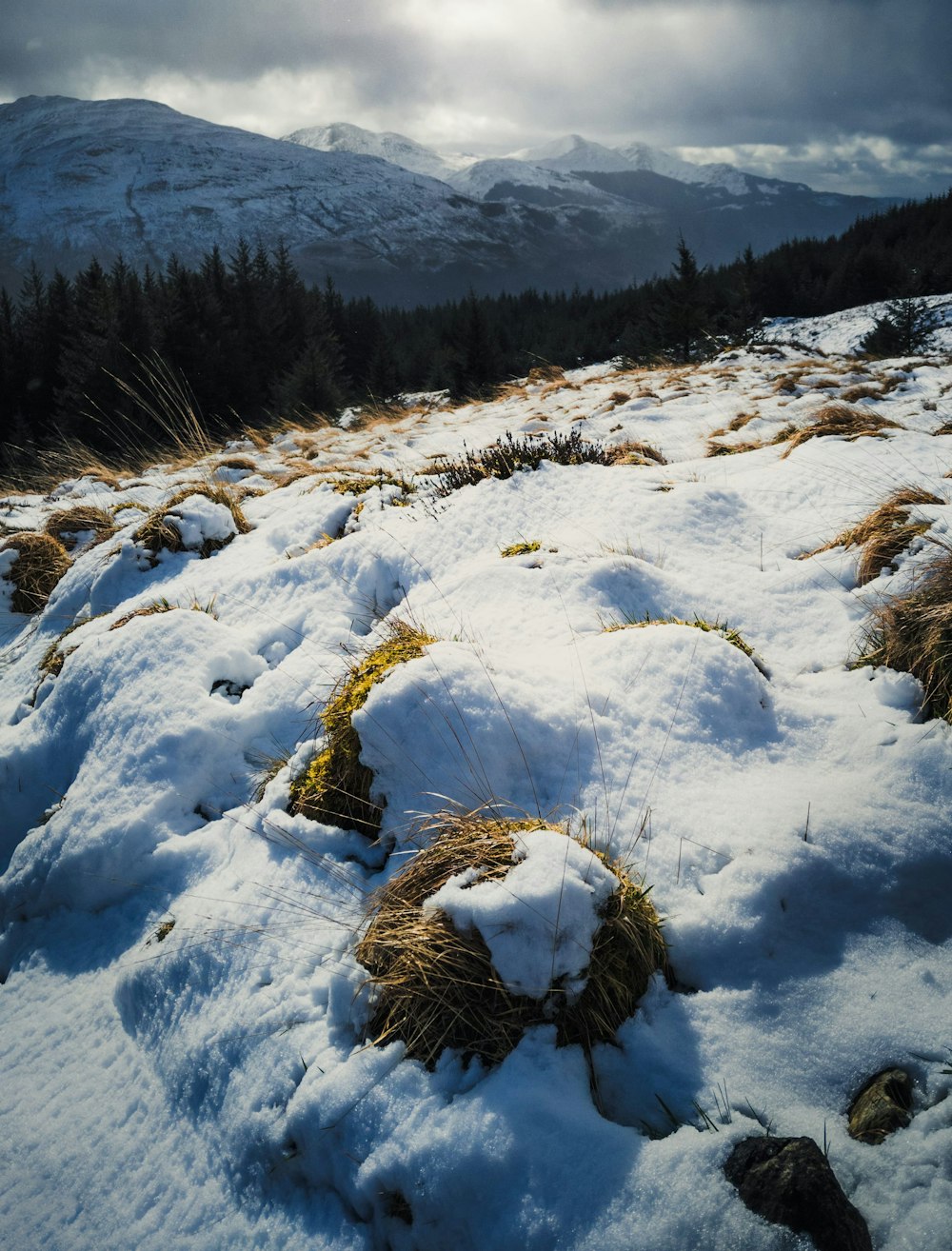 a field covered in snow with a mountain in the background