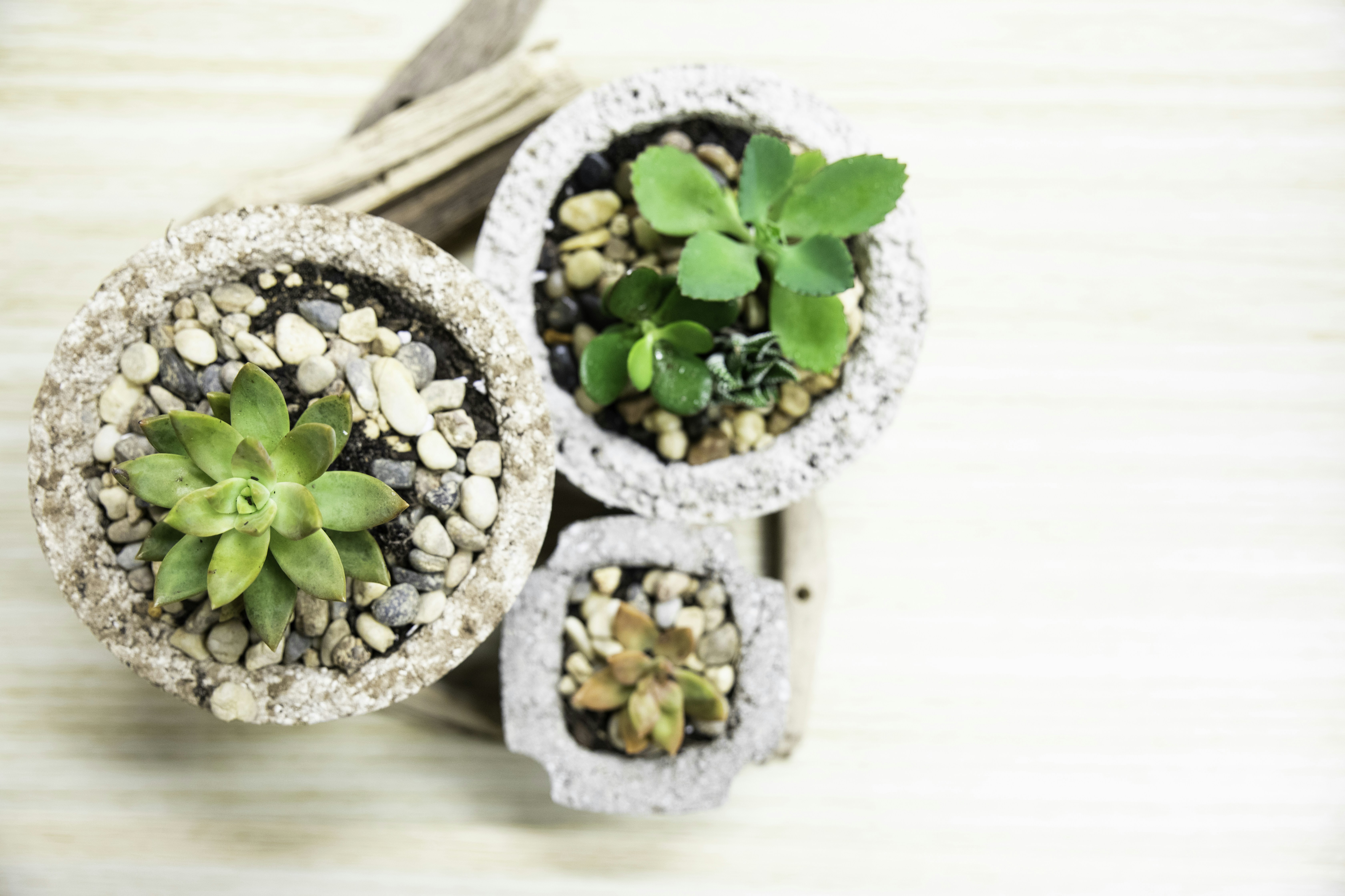 オートミールのデメリット 欠点 ３つを捻り出してみた笑 食べ過ぎに気をつければ問題なし The Simplicity