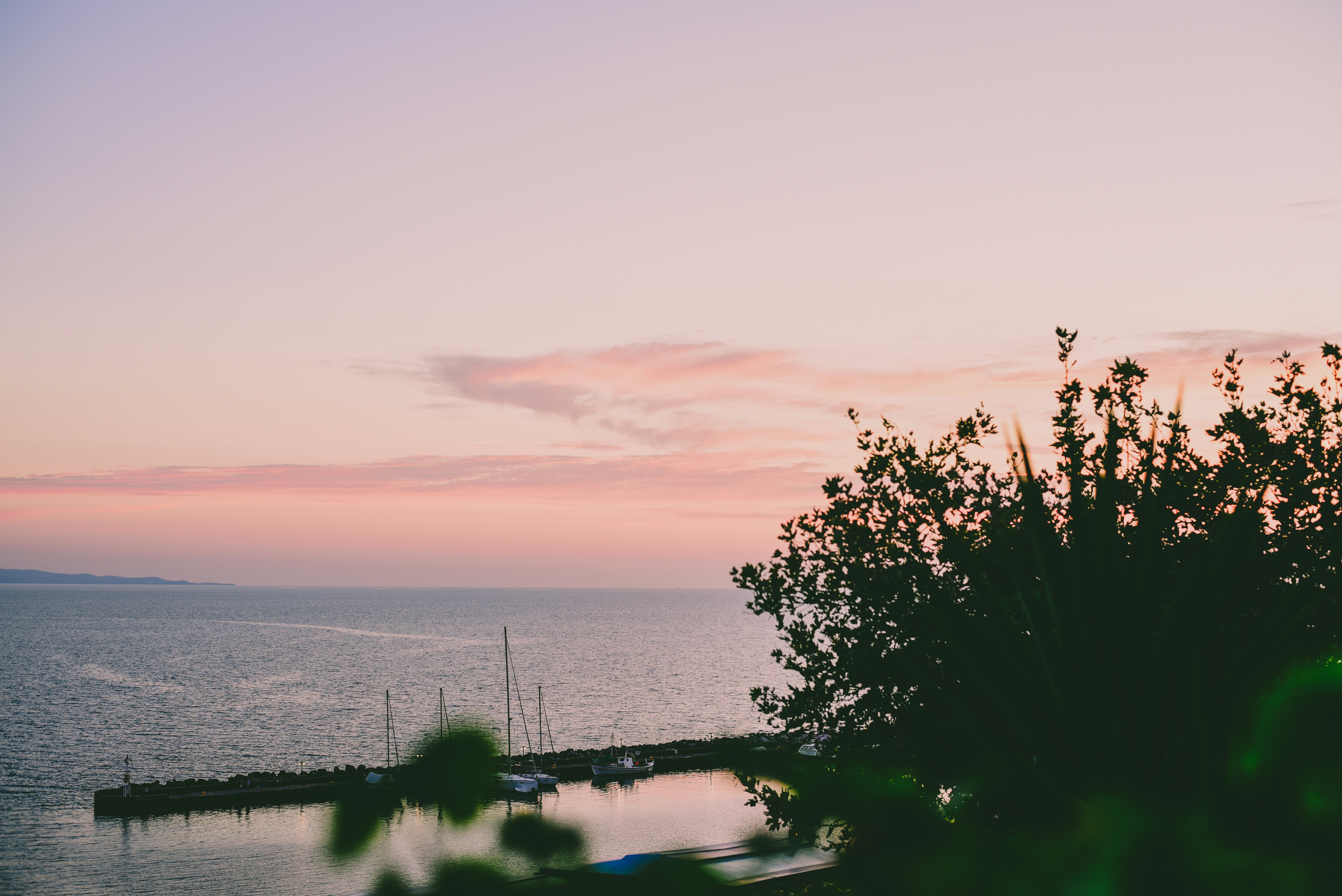 Photo by shotsbytania