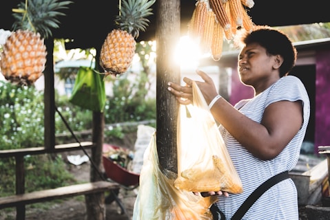 fiji weather: fiji travel itinerary