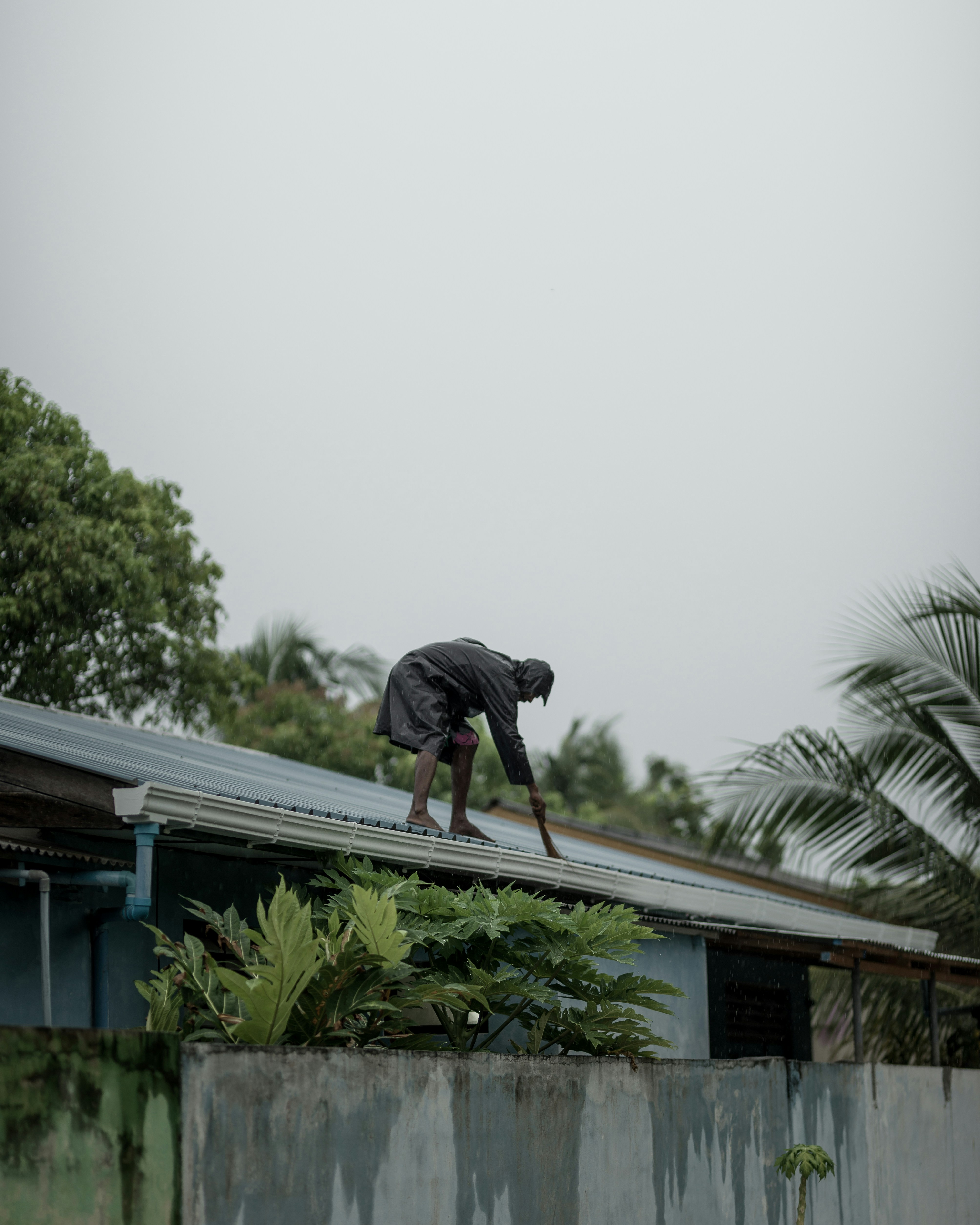 Roof Services