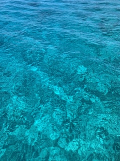 The image features clear turquoise water with visible patterns created by sunlight reflecting on the surface. The water appears calm and inviting, showcasing varying shades of blue and green.