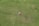 Three people are lying on a vast expanse of green grass, arranged in a circular formation with their heads meeting in the center. The setting is an open and spacious area, giving a sense of freedom and relaxation.
