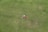 Three people are lying on a vast expanse of green grass, arranged in a circular formation with their heads meeting in the center. The setting is an open and spacious area, giving a sense of freedom and relaxation.