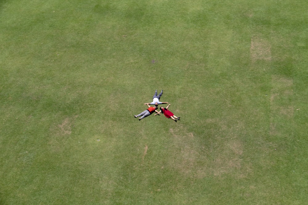 aerial photography of three person's lying on green field