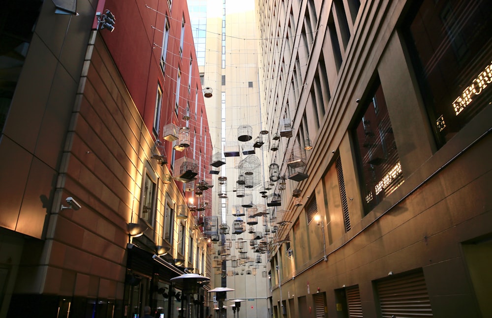 birdcages hanging on strings outside building